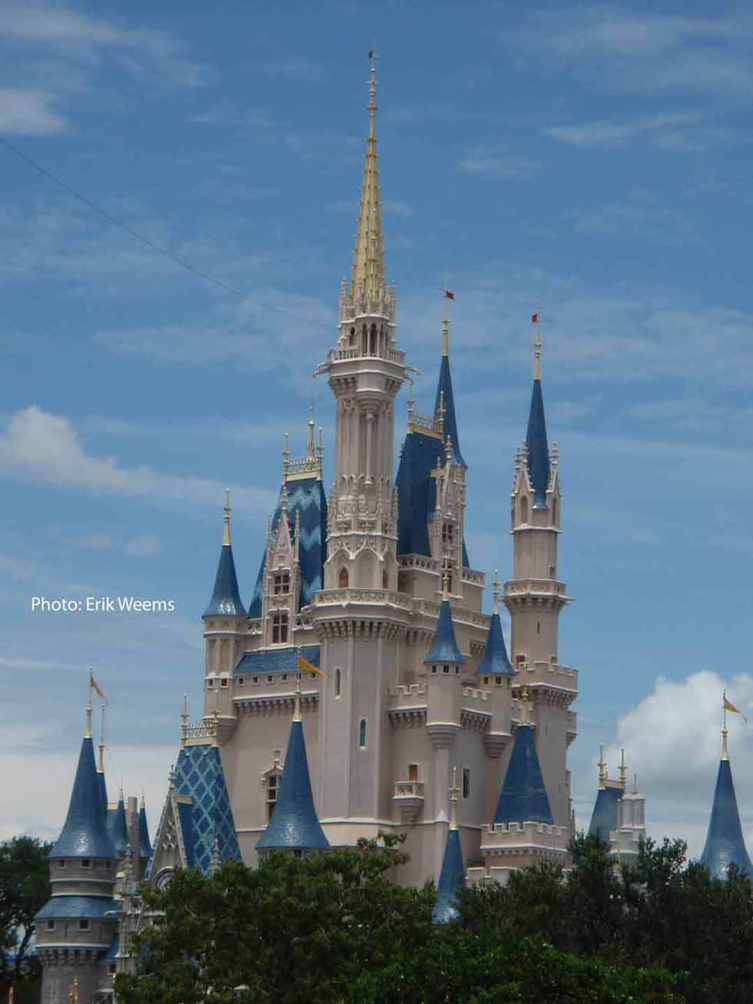 Disney Castle Goofy 4 Mickey - Florida