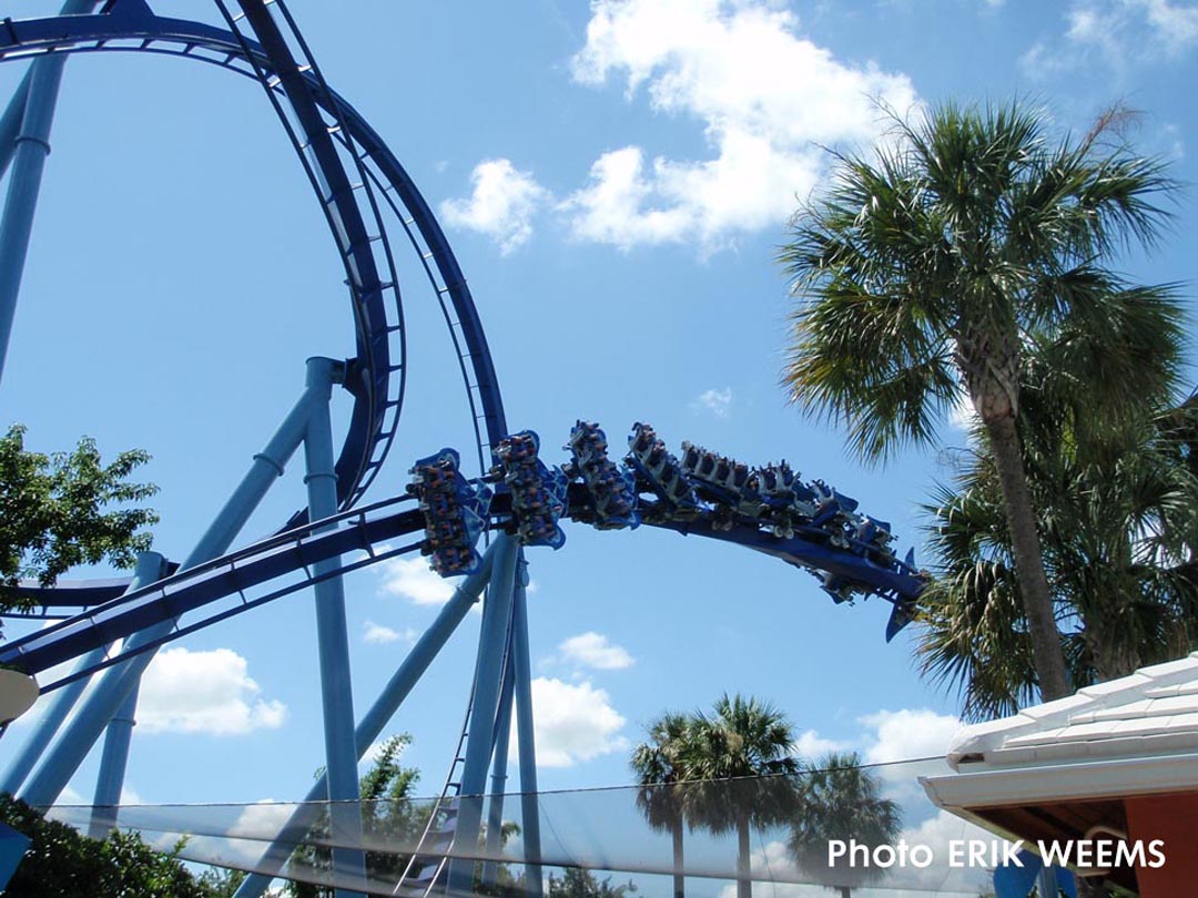 Palm Trees and Roller Coasters