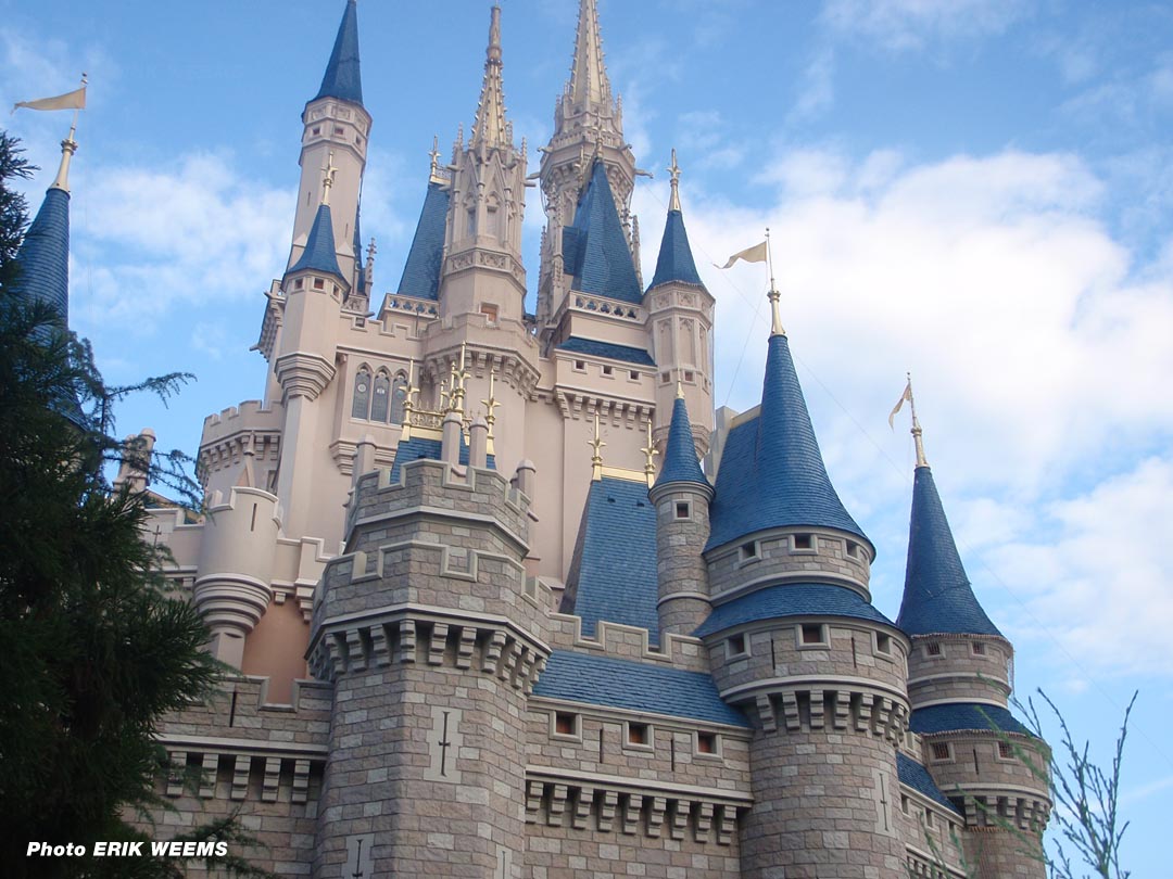 Rooftops of the Castle