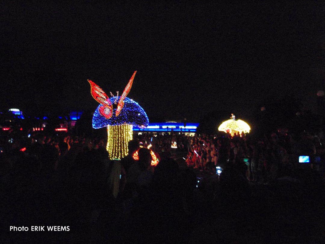 The Electric Parade Mushroom and Butterfly